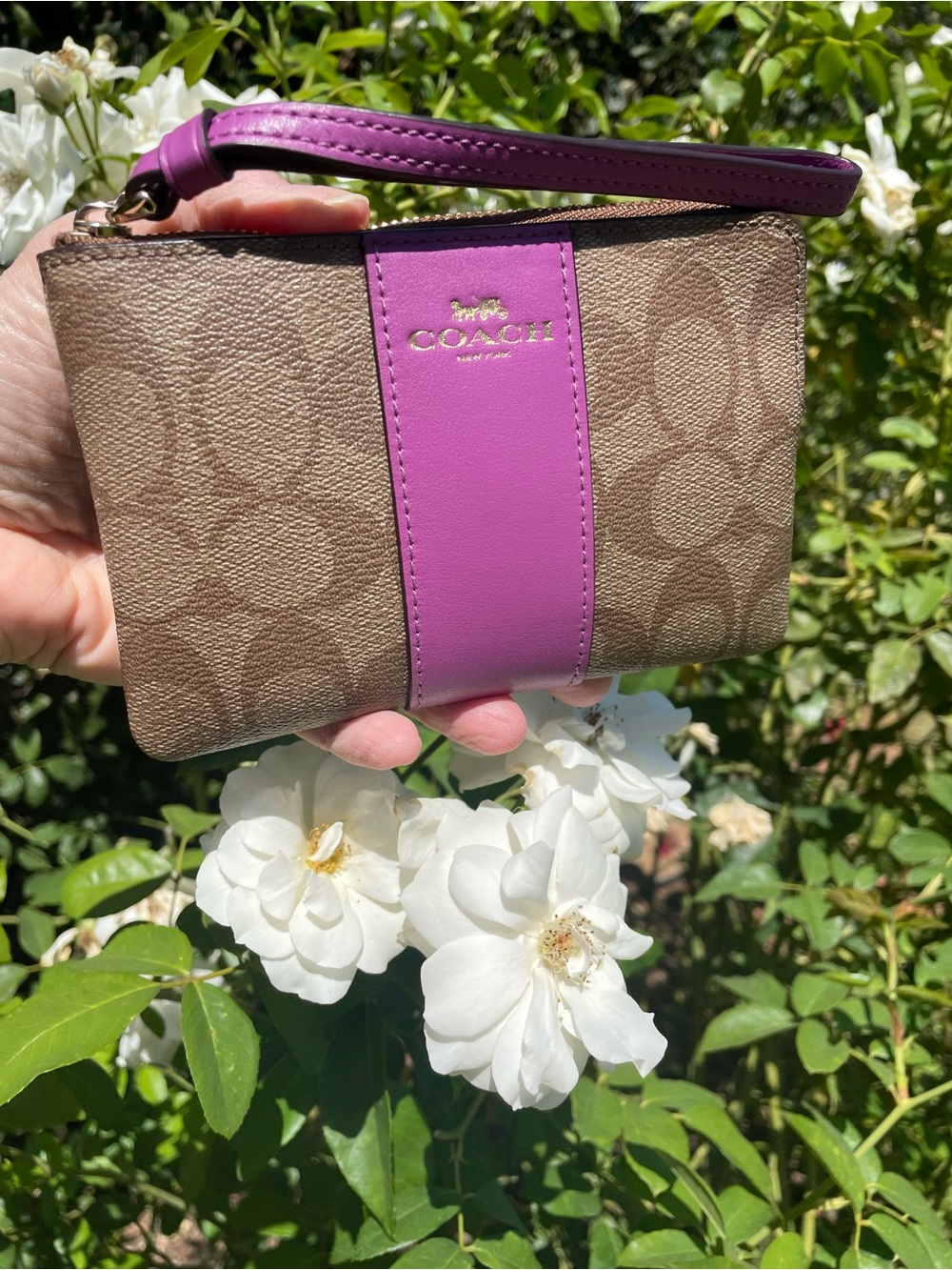 Coach F58035 Signature Corner Zip Wristlet Brown Azalea Purple Leather